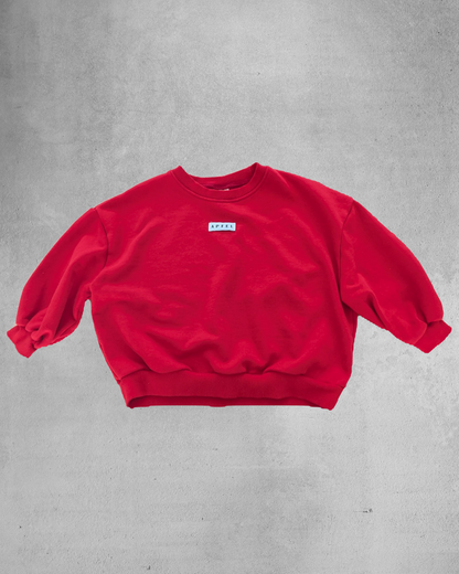 Playtime Sweatshirt